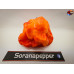 APOPTOSIS ORANGE ISOLATO 2024 D