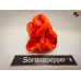 APOPTOSIS ORANGE ISOLATO 2024 D