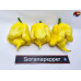 B.O.C. X 7 POT PRIMO YELLOW  ISOLATO 2024 D