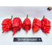 B.O.C. X C.REAPER ORANGE - RED ISOLATO 2024 D