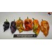 BHUT JOLOKIA PURPLE