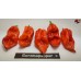 BHUT JOLOKIA PURPLE