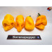 BHUTLAH YELLOW   ISOLATO 2024 D