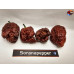 HELLBOY CHOCOLATE ISOLATO 2024 D